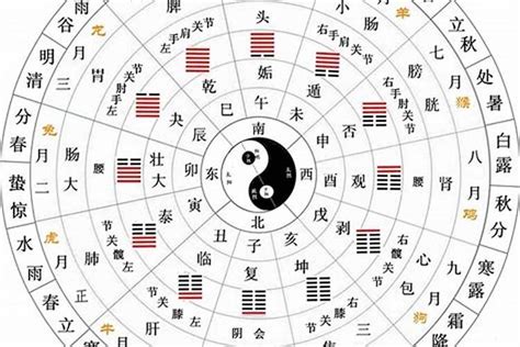 地支阴阳|十二地支类象详解 – 十二地支阴阳五行属性